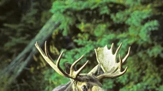 Tajemství Velkých jezer (3/3)