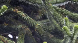 Patagonie - život na konci světa (2/6)
