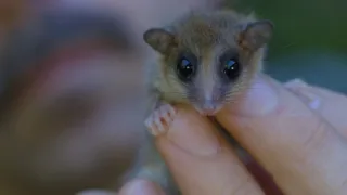 Patagonie - život na konci světa (2/6)