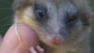Patagonie - život na konci světa (2/6)