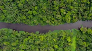 Kostarika - vzedmutí přírody