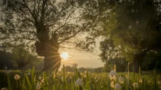 Príbeh krajiny lúk