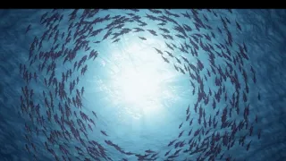 Zabijáci v divočině (4)