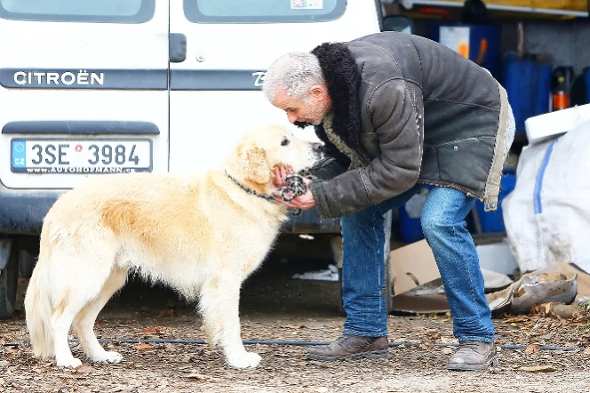 Temný Kraj, 2019 - fotogaléria