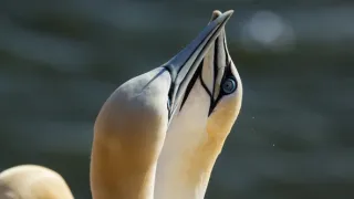 Norsko: Mezi fjordy a fjelly