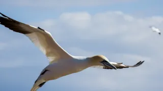 Norsko: Mezi fjordy a fjelly