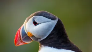 Norsko: Mezi fjordy a fjelly