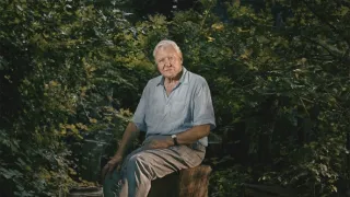 Zázračná planéta: Zelená planéta (4/5)