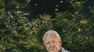 Zázračná planéta: Zelená planéta (4/5)