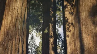 Zázračná planéta: Zelená planéta (4/5)