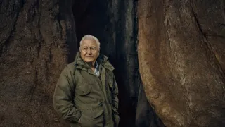 Zázračná planéta: Zelená planéta (4/5)