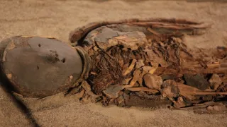 Tajemství skrytá v písku (1/6)