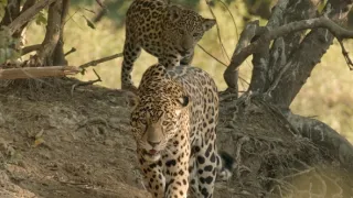 Divoká a svobodná Kolumbie (1/2)