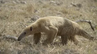 Divoká a svobodná Kolumbie (1/2)