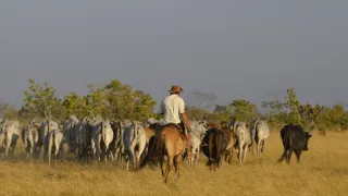 Divoká a svobodná Kolumbie (1/2)