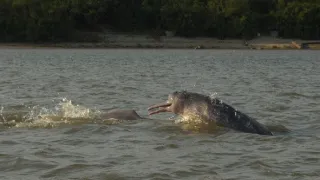 Divoká a svobodná Kolumbie (1/2)