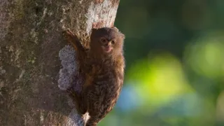 Divoká a svobodná Kolumbie (1/2)