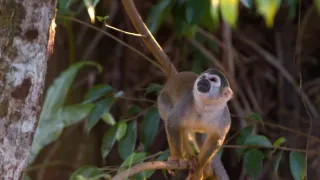 Divoká a svobodná Kolumbie (1/2)