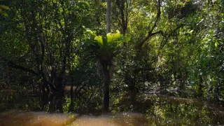 Divoká a svobodná Kolumbie (1/2)