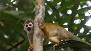 Divoká a svobodná Kolumbie (1/2)