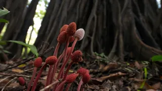 Divoká a svobodná Kolumbie (1/2)