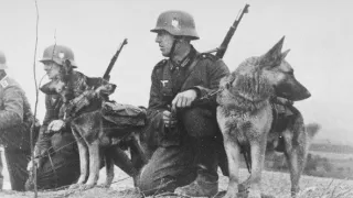 Vzestup a pád nacistů (7/10)