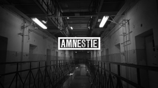 Amnestia