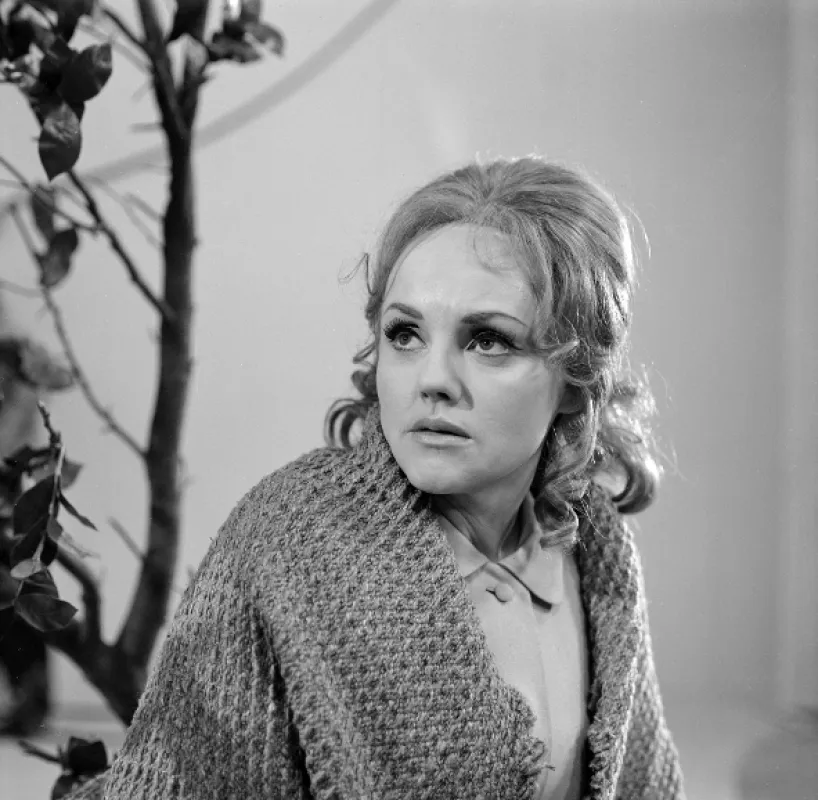 Jak se pyšná princezna stala žebrákovou ženou, 1970 - fotogaléria