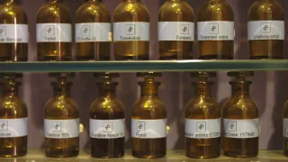 Človek plus - budúcnosť našich zmyslov (4/5)