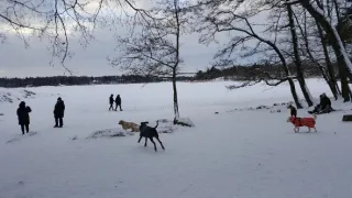 Na cestě po Helsinkách