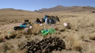 České stopy v rostlinné říši Latinské Ameriky