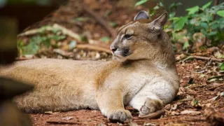 Posledné prírodné raje (1/6)