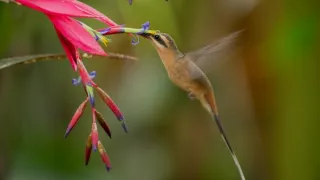 Posledné prírodné raje (1/6)