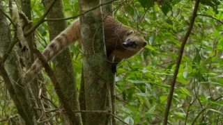 Posledné prírodné raje (1/6)