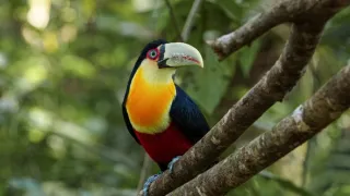 Posledné prírodné raje (1/6)