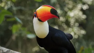 Posledné prírodné raje (1/6)