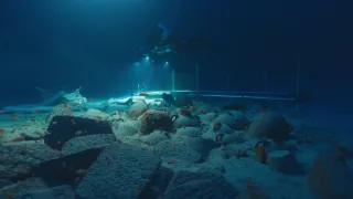 Hledání trójského koně