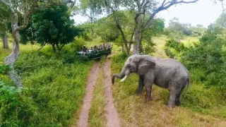 Kamera na cestách: Afrika z vtáčej perspektívy