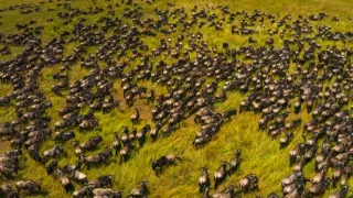 Kamera na cestách: Afrika z vtáčej perspektívy