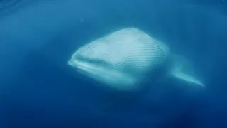 Patagonie - život na konci světa (3/6)