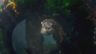 Patagonie - život na konci světa (3/6)