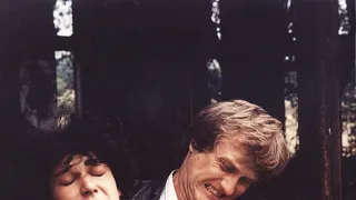 Radikální řez