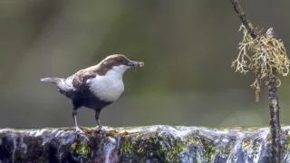 Príroda Kantaberských hôr (1/2)