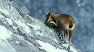 Príroda Kantaberských hôr (1/2)