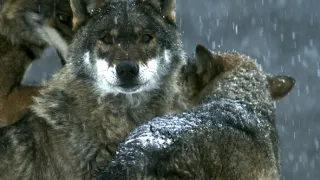 Príroda Kantaberských hôr (1/2)