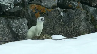 Príroda Kantaberských hôr (1/2)