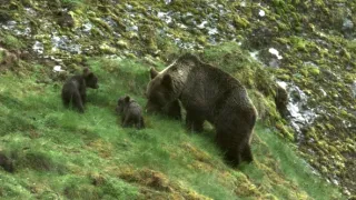 Príroda Kantaberských hôr (1/2)