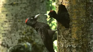 Príroda Kantaberských hôr (1/2)