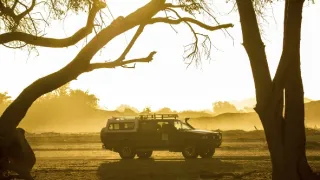 Žirafy zblízka aj z výšky