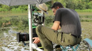 Pytačky vo svete zvierat (4/5)